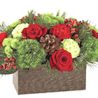 FTD Bundled Up Centerpiece