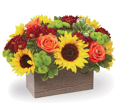 FTD Happy Harvest Garden Deluxe