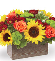 FTD Happy Harvest Garden Deluxe