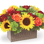 FTD Happy Harvest Garden Deluxe