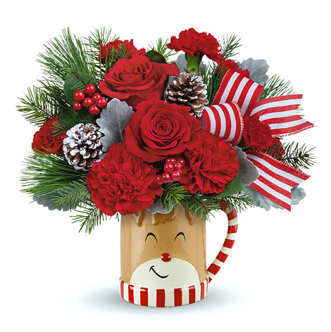 Teleflora Send A Hug Reindeer Wish Bouquet