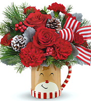 Teleflora Send A Hug Reindeer Wish Bouquet