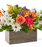 FTD Oopsie Daisy Flower Box