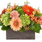 FTD Hello Gorgeous Bouquet Dlx