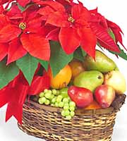 Poinsettia and Fresh Fruit Basket