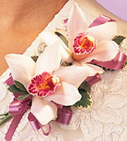 - Double Cymbidium Corsage