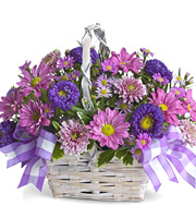 Daisy Daydreams Basket